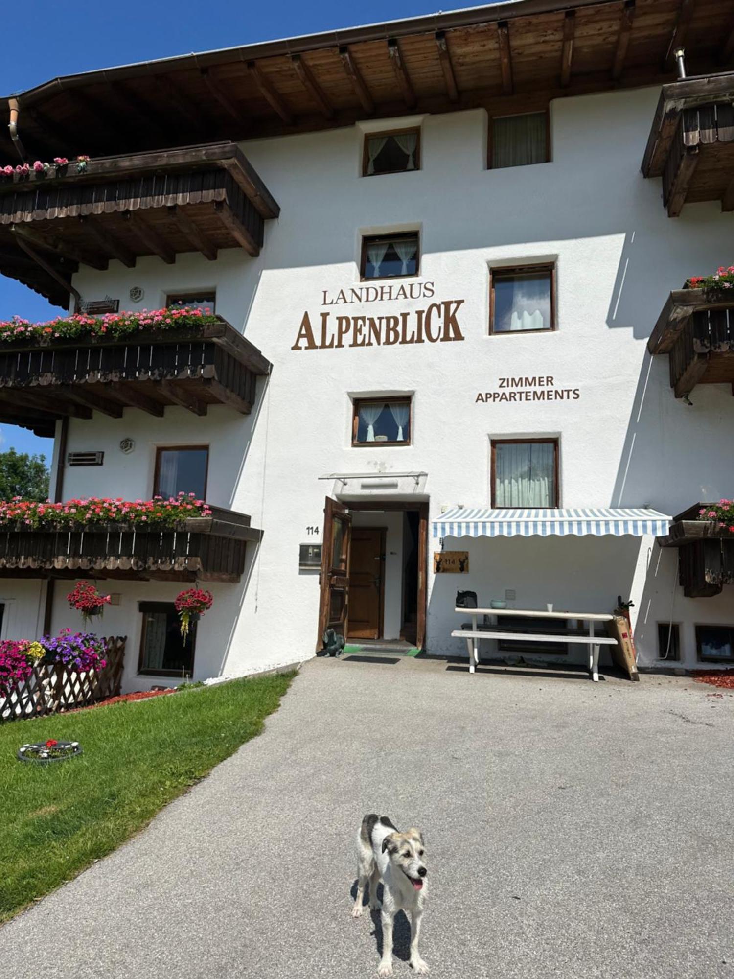 Landhaus Alpenblick Obsteig Εξωτερικό φωτογραφία